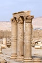 Columns Palmyra Syria Royalty Free Stock Photo