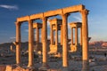 Columns of Palmyra, Syria. Palmyra ruins before the war, December 01, 2010. Royalty Free Stock Photo