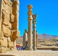 The columns of Persepolis Gate, Iran