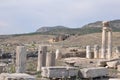 Ornate Columns and Capital, Hierapolis, Pamukkale, Denizli Province, Turkey Royalty Free Stock Photo