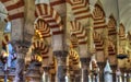 Columns of the prayer hall, Cordoba, Andalusia Royalty Free Stock Photo