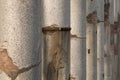 Columns at the Ruins at the Roman Forum of Trajan