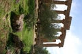 Columns ruins sicily Royalty Free Stock Photo