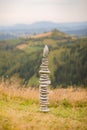 Columns of stones carefully balanced one on top of the other, displaying a sense of calm and concentration Royalty Free Stock Photo