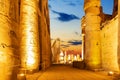 Columns of the Temple of Luxor, night illumination, Egypt Royalty Free Stock Photo