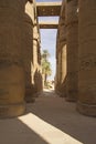 Columns of the Temples of Karnak ( Egypt) Royalty Free Stock Photo