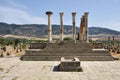 Columns of Volubilis Capitol, Morocco Royalty Free Stock Photo