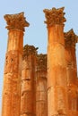 Colums in Jerash Royalty Free Stock Photo