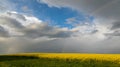 Colza. Seeds. Oil. Spring. Field. Stormy Sky Royalty Free Stock Photo