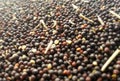 Colza. Tiny rapeseed grains. Small seed. Farming.