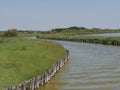 Comacchio Lagoons boat trip