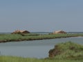 Comacchio Lagoons boat trip