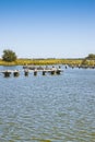 The Comacchio valleys are known worldwide for eel fishing - UNESCO protected area Ferrara city - Emilia Romagna - Italy Royalty Free Stock Photo