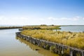 The Comacchio valleys are known worldwide for eel fishing - It is a UNESCO site and protected area in Ferrara city Emilia Romagna Royalty Free Stock Photo