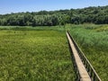 Comana Delta/ Delta/ Natural/ Bridge