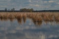 Comana lake