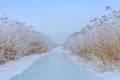 Comana lake in winter