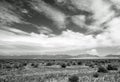 The Comanche National Grassland