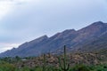 Comanding mountains with cliff precipe and rolling saguaro cactus fields in early morning sunrise or sunset in woods Royalty Free Stock Photo