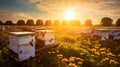 comb honey farm