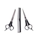 Comb and Scissors. Set Barber. Isolated Royalty Free Stock Photo