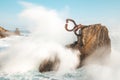 `The Comb of the Wind` sculpture in Donostia-San Sebastian, Spain