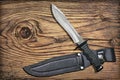 Combat Hunting Survival Sawback Bowie Knife With Black Leather Sheath Set On Old Cracked Knotted Rustic Pinewood Background