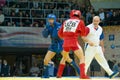 Combat Sambo