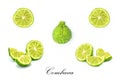 Combava combo on a white background Royalty Free Stock Photo