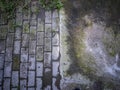 The combination of brick block floors with cement that looks old. Lichens on both