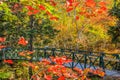 Bridge along Shubie Park walking trail Royalty Free Stock Photo