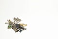 The combination of fifteen different keys and a padlock lying on the plane, copy space. Royalty Free Stock Photo