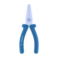 Combination pliers tool Royalty Free Stock Photo