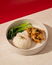 The combination of soft salted egg sauce and crunchy fried chicken is served with warm rice Royalty Free Stock Photo