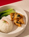 The combination of soft salted egg sauce and crunchy fried chicken is served with warm rice Royalty Free Stock Photo