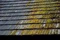 Combination of thatched and shingled roof. In the shade or in a rainy climate, it is covered with moss and gradually degrades and Royalty Free Stock Photo