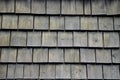 Combination of thatched and shingled roof. In the shade or in a rainy climate, it is covered with moss and gradually degrades and Royalty Free Stock Photo