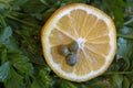 Half a lemon with capers on a background of fresh parsley. Royalty Free Stock Photo