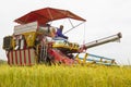 Combine Grain farm during harvest at rice field