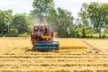 Combine harvester in action on rice field. Harvesting is the pro