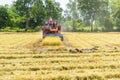 Combine harvester in action on rice field. Harvesting is the pro