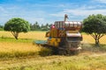 Combine harvester in action on rice field. Harvesting is the process of gathering a ripe crop from the fields Royalty Free Stock Photo