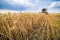 Combine harvester in action on wheat field