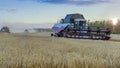 Combine harvester agricultural machine harvesting golden ripe wheat fields. Agriculture