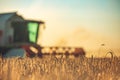 Combine harvester agriculture machine harvesting golden ripe wheat field Royalty Free Stock Photo