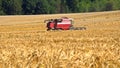 Combine harvester back in wheat field