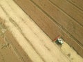 Combine harvester collecting grain on wheat field, aerial view of harvest