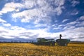 Combine Harvester on the corn field with lens flare