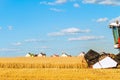 Combine harvester with cutter platform at work