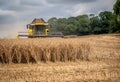 Combine harvester in Oilseed Rape, heading towards the camera